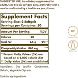 Solgar Phosphatidylcholine, 100 Softgels