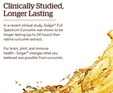 Solgar Full Spectrum Curcumin Liquid Extract, 30 Softgels - Faster Absorption - Brain, Joint & Immune Health - Long Lasting Support - Gluten Free, Non GMO, Dairy Free, Soy Free - 30 Servings