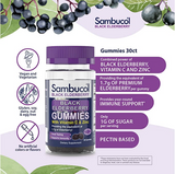 Sambucol Black Elderberry Gummies 30 ct